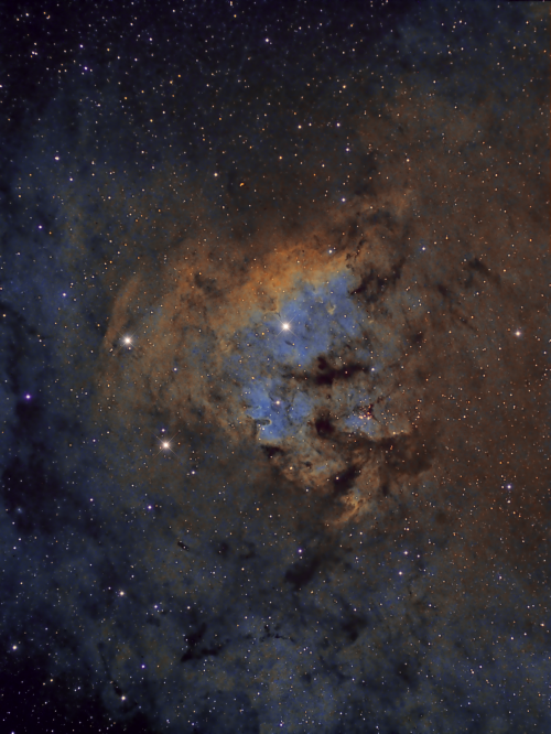 NGC7822 - ED80,ATIK383L, Narrow SHO